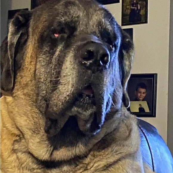 Meet your Posher, Lisa - Picture 7 of 8